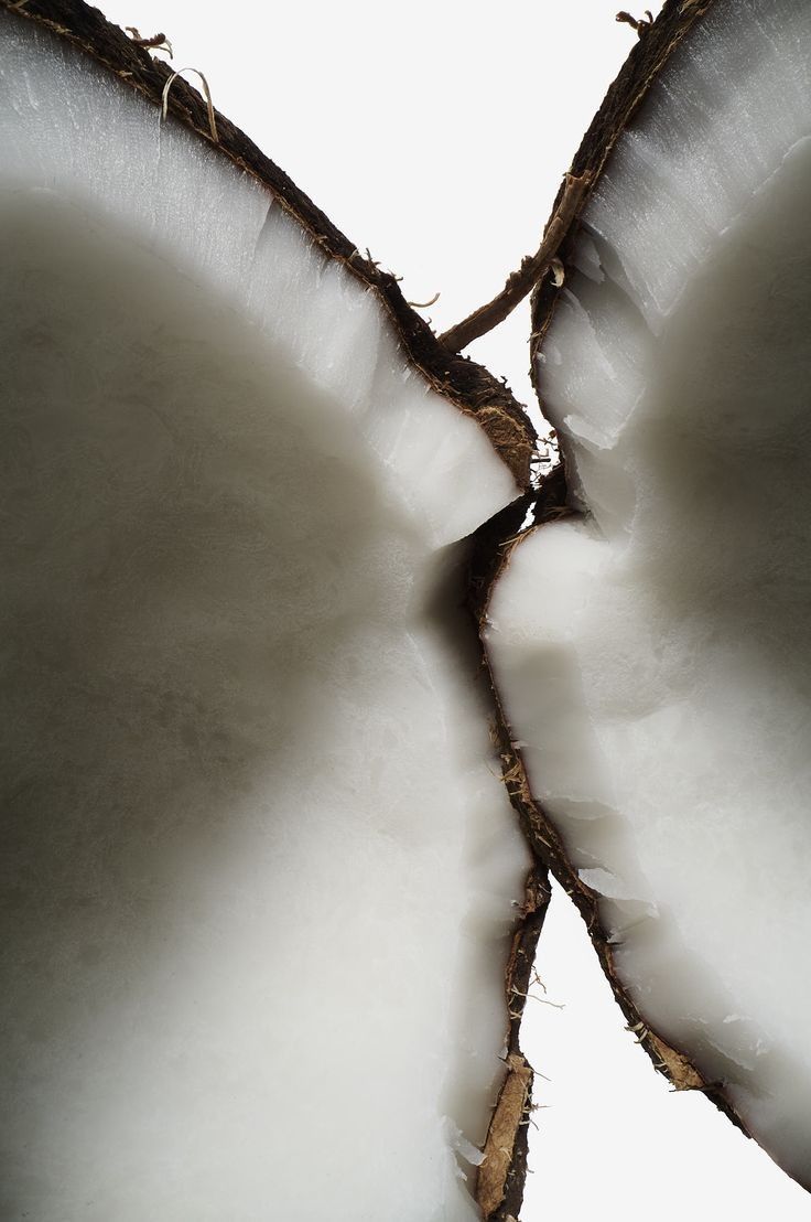 NOIX DE COCO